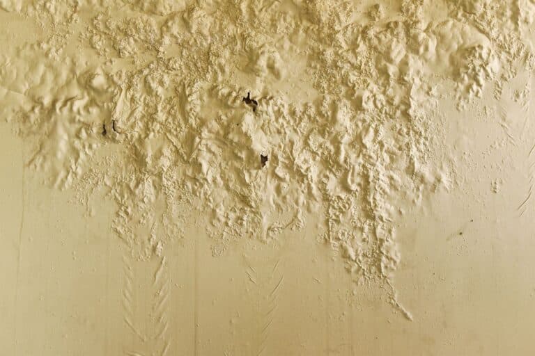 infiltration eau traiter mur