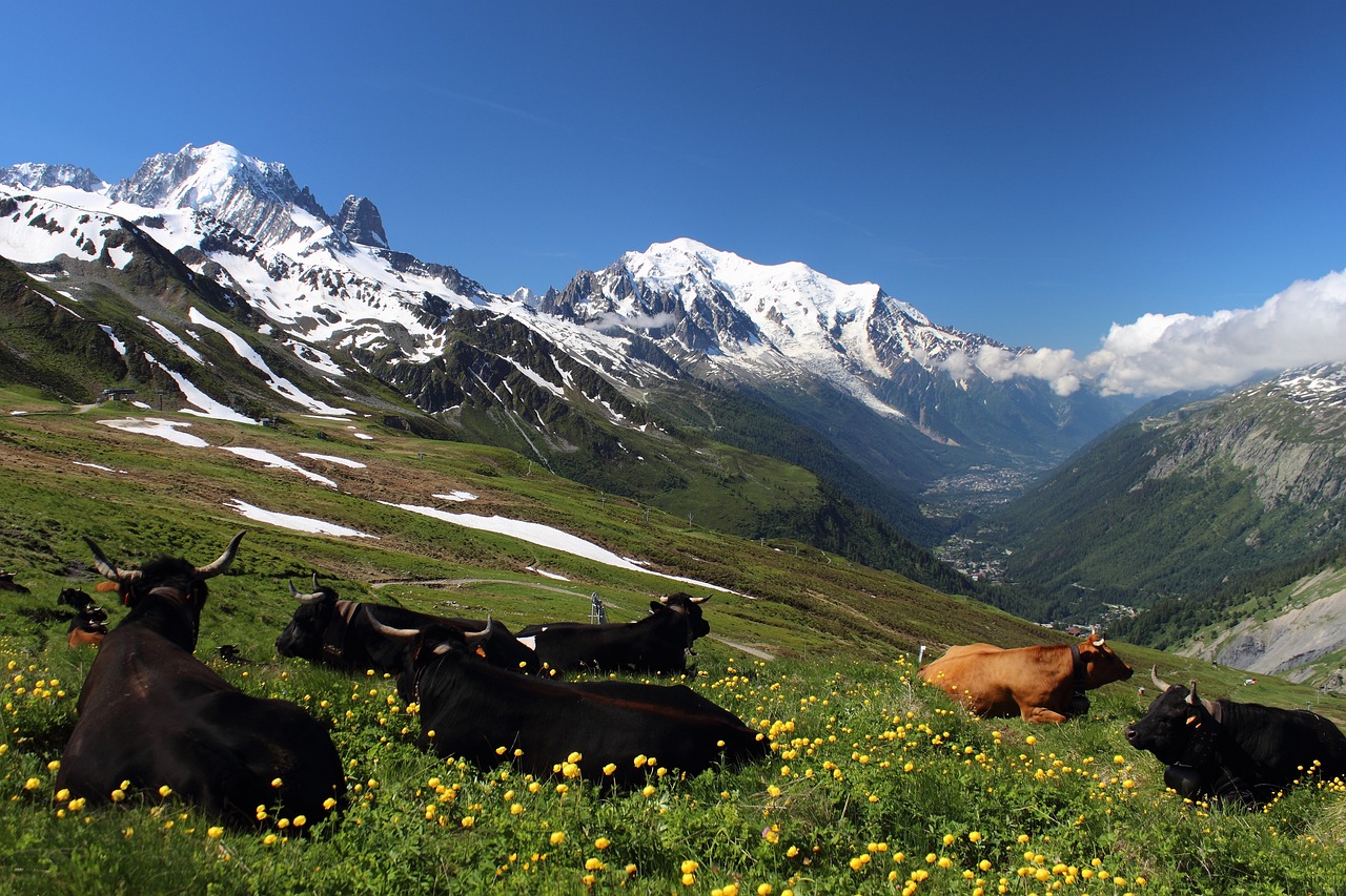 Où partir en novembre à la montagne en France?