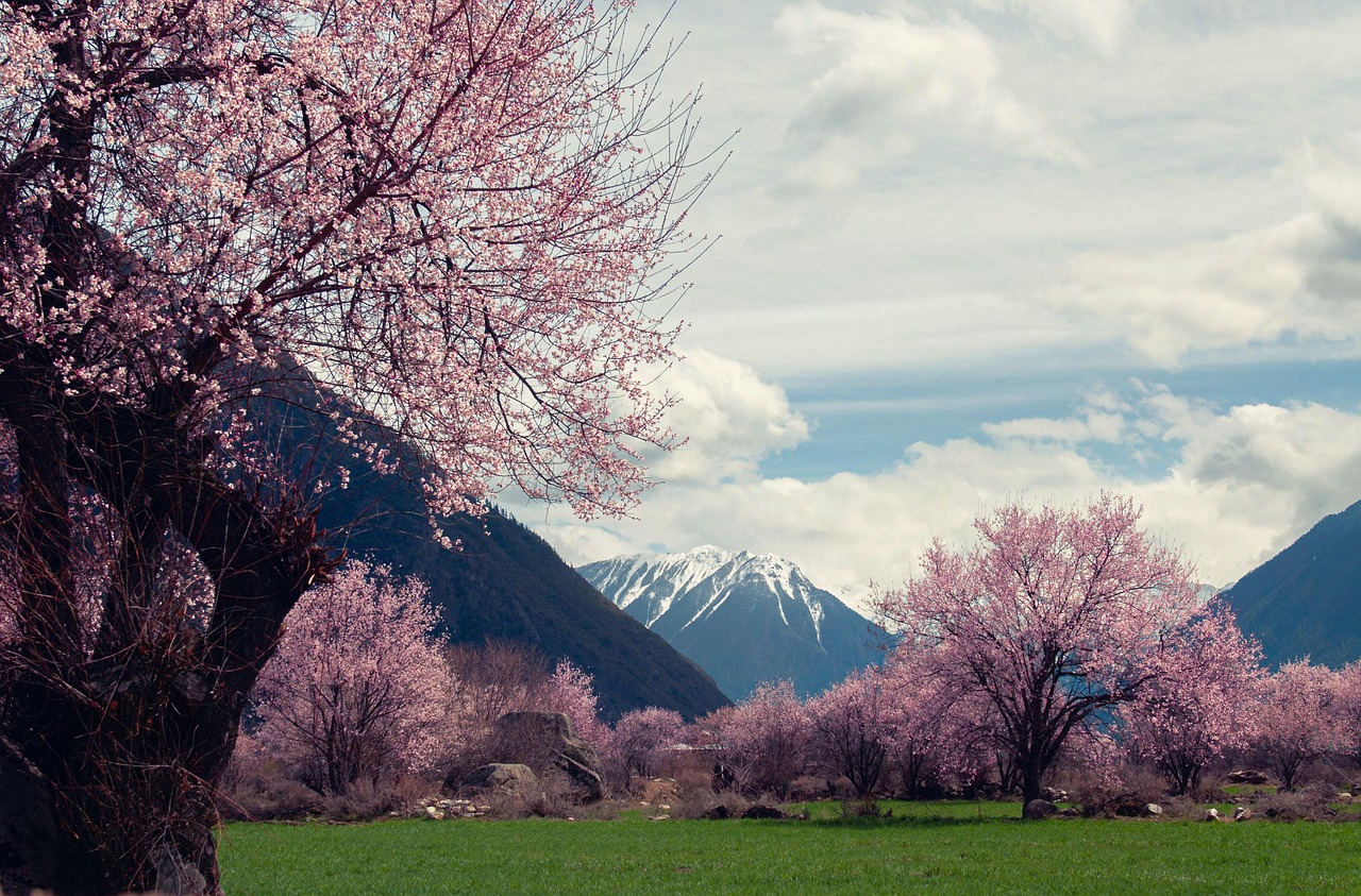 Où partir au soleil pas cher en mai?