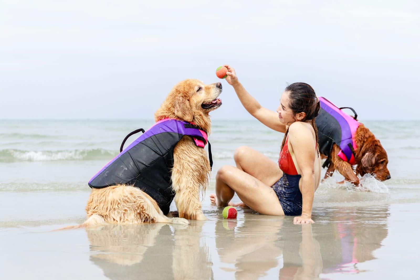 Où partir en août en France avec un chien?