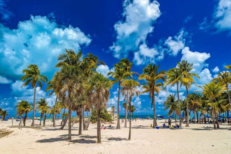 Où partir en novembre aux Etats-Unis en famille?